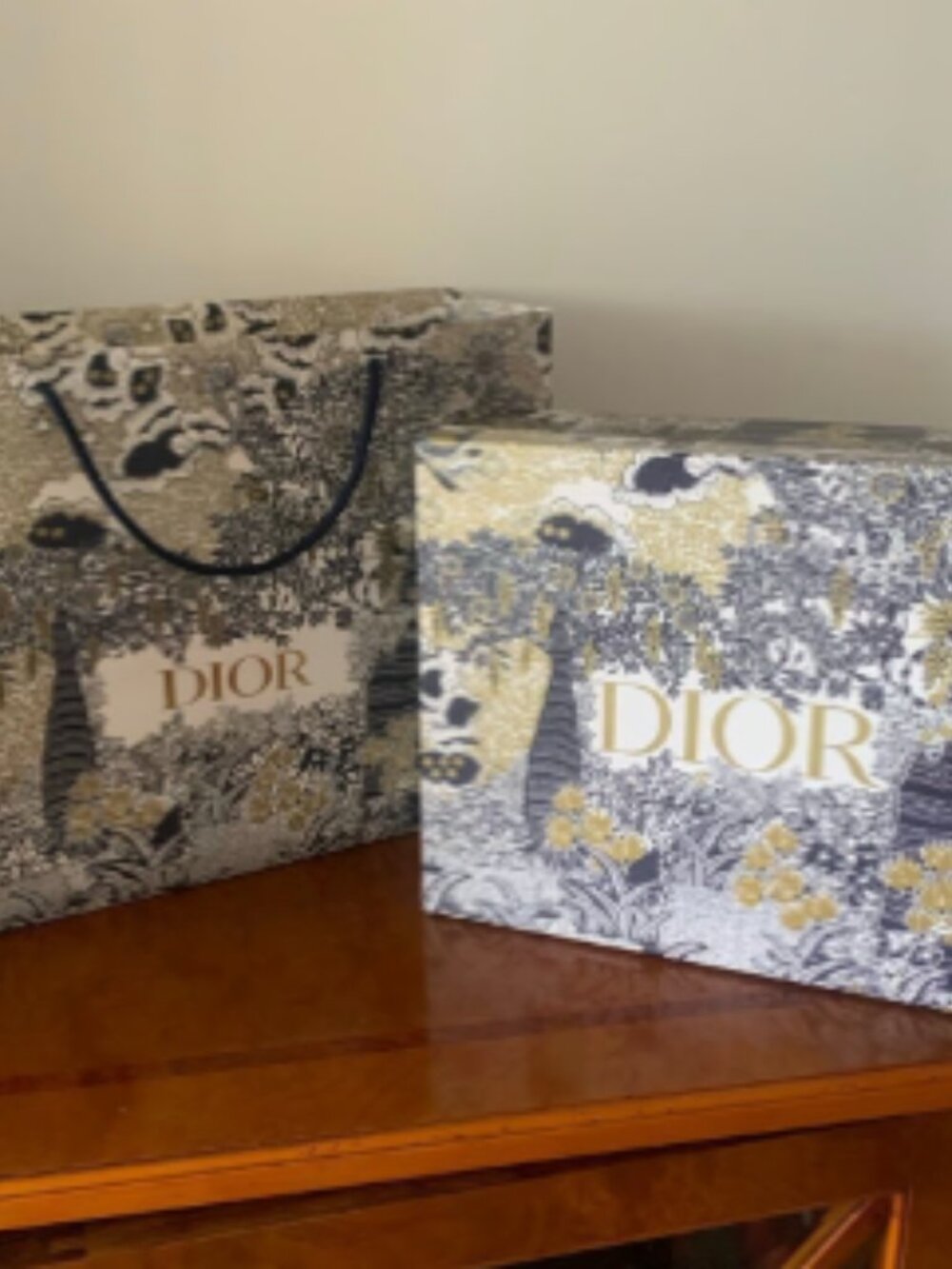 Dior Toile de Jouy shoe box and paper shopping bag